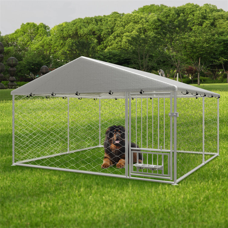 60 inch sale dog kennel